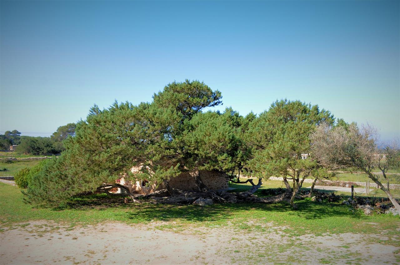 Siamoformentera Bella Villa San Francisco Javier Ngoại thất bức ảnh